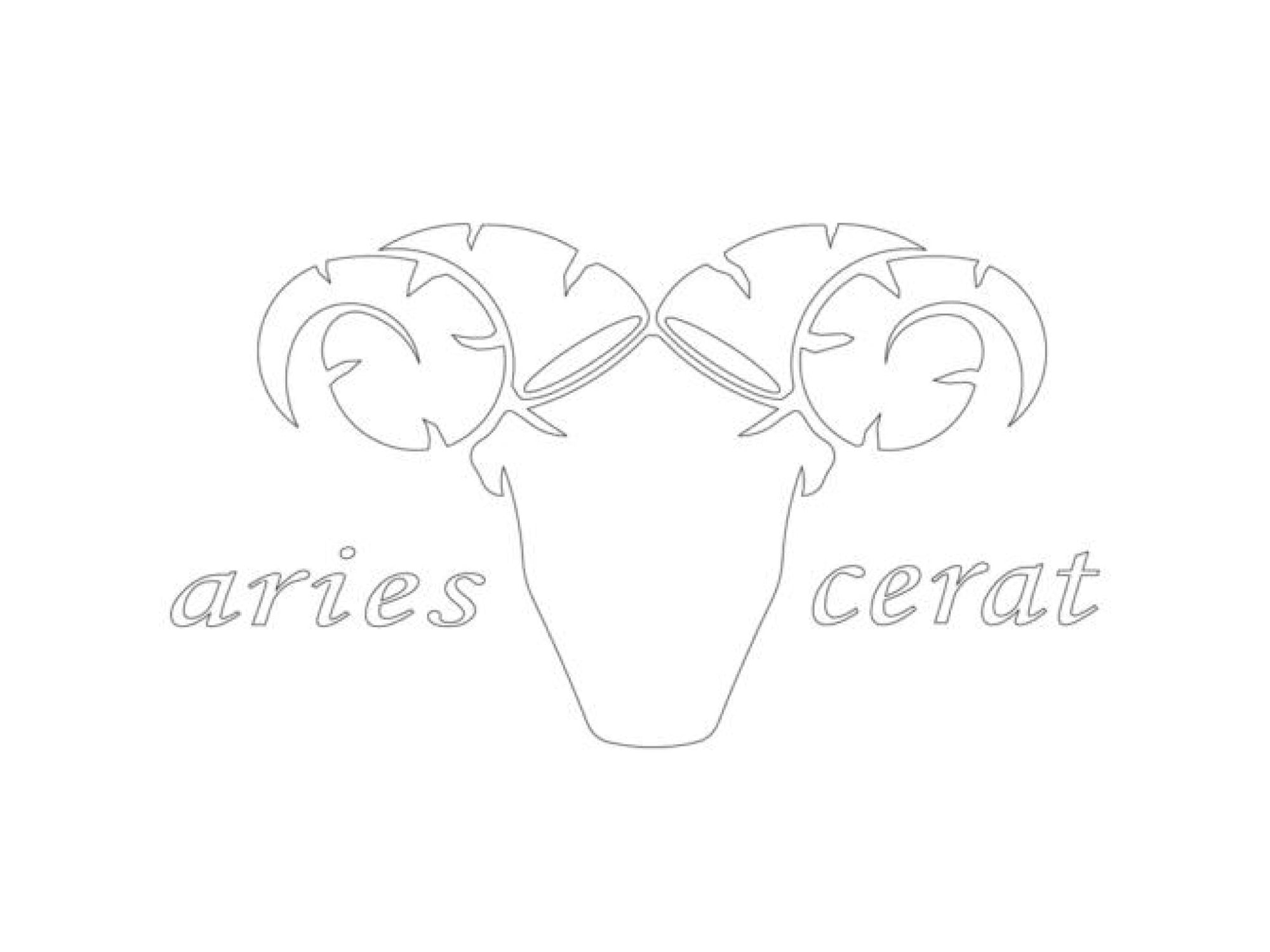 Aries Cerat - Sofia Audio Center